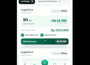 Review Aplikasi Capital Nusa Apk Apakah Aman atau Berisiko Penipuan Ponzi?